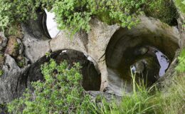 001 - gletschergarten in gavaglia